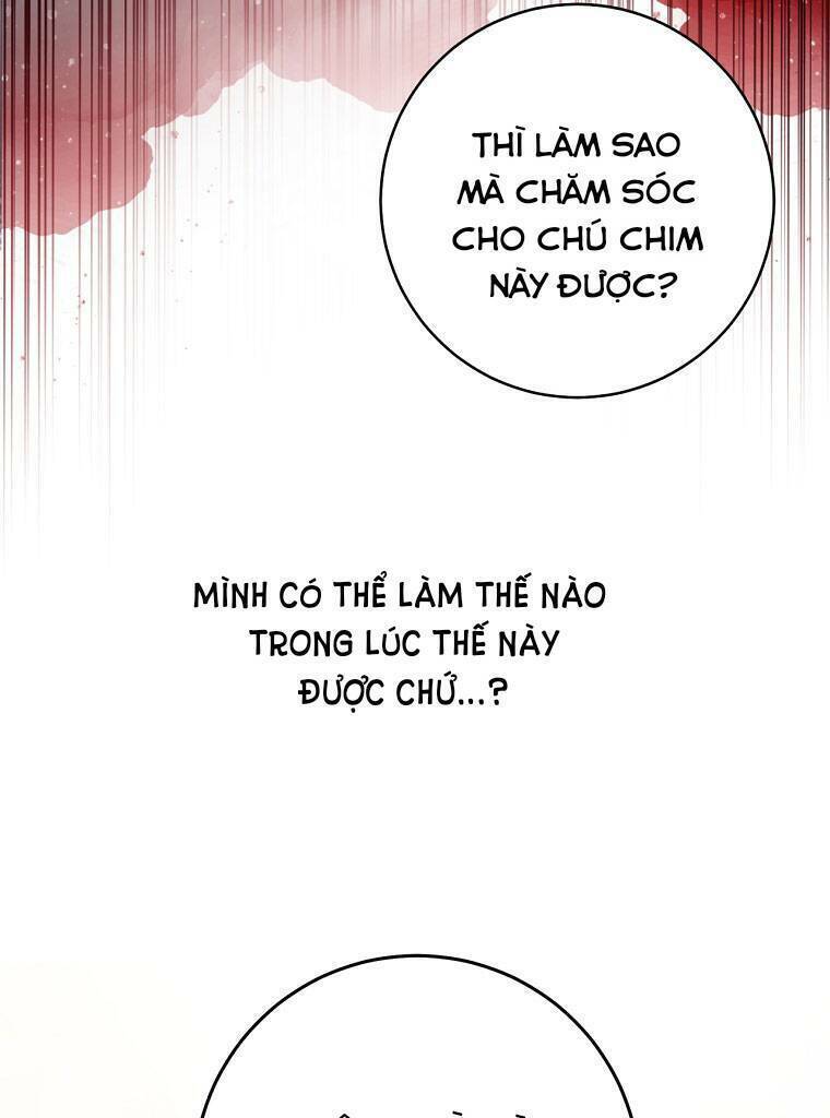 Trở Thành Cô Cháu Gái Bị Khinh Miệt Của Gia Tộc Võ Lâm. Chapter 19 - 36