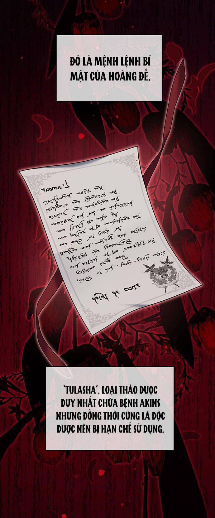 Ai Đã Bắt Cóc Hoàng Hậu? Chapter 56.1 - 11