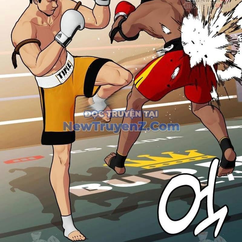 Loser Giỏi Võ Chapter 121 - 205