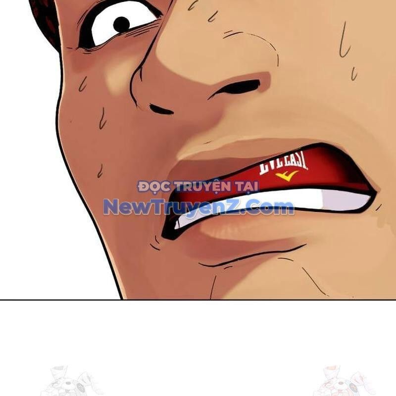 Loser Giỏi Võ Chapter 122 - 174