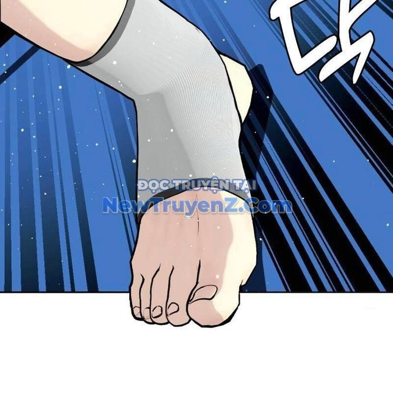 Loser Giỏi Võ Chapter 122 - 209