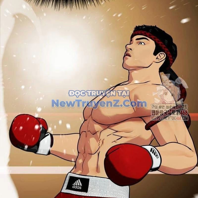 Loser Giỏi Võ Chapter 122 - 232