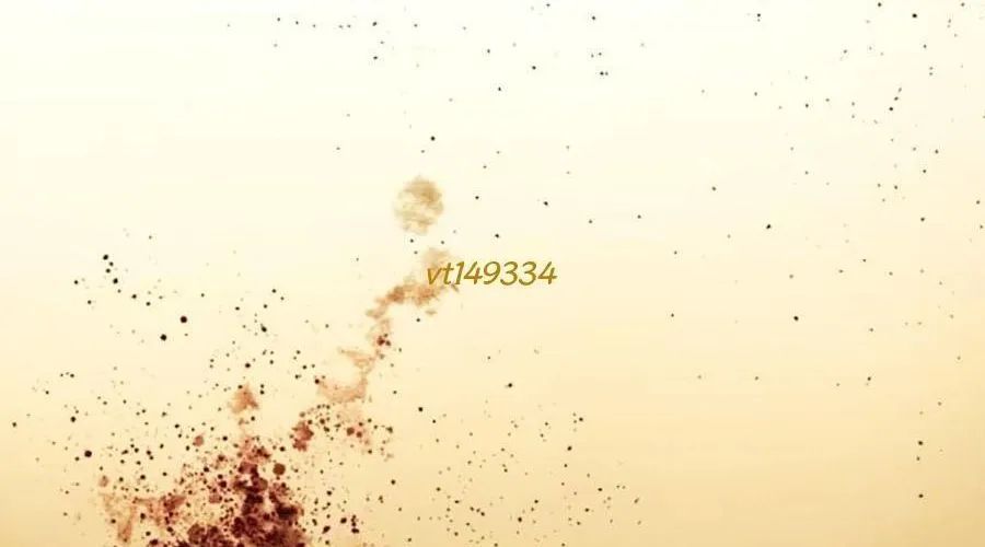 Loser Giỏi Võ Chapter 142 - 35