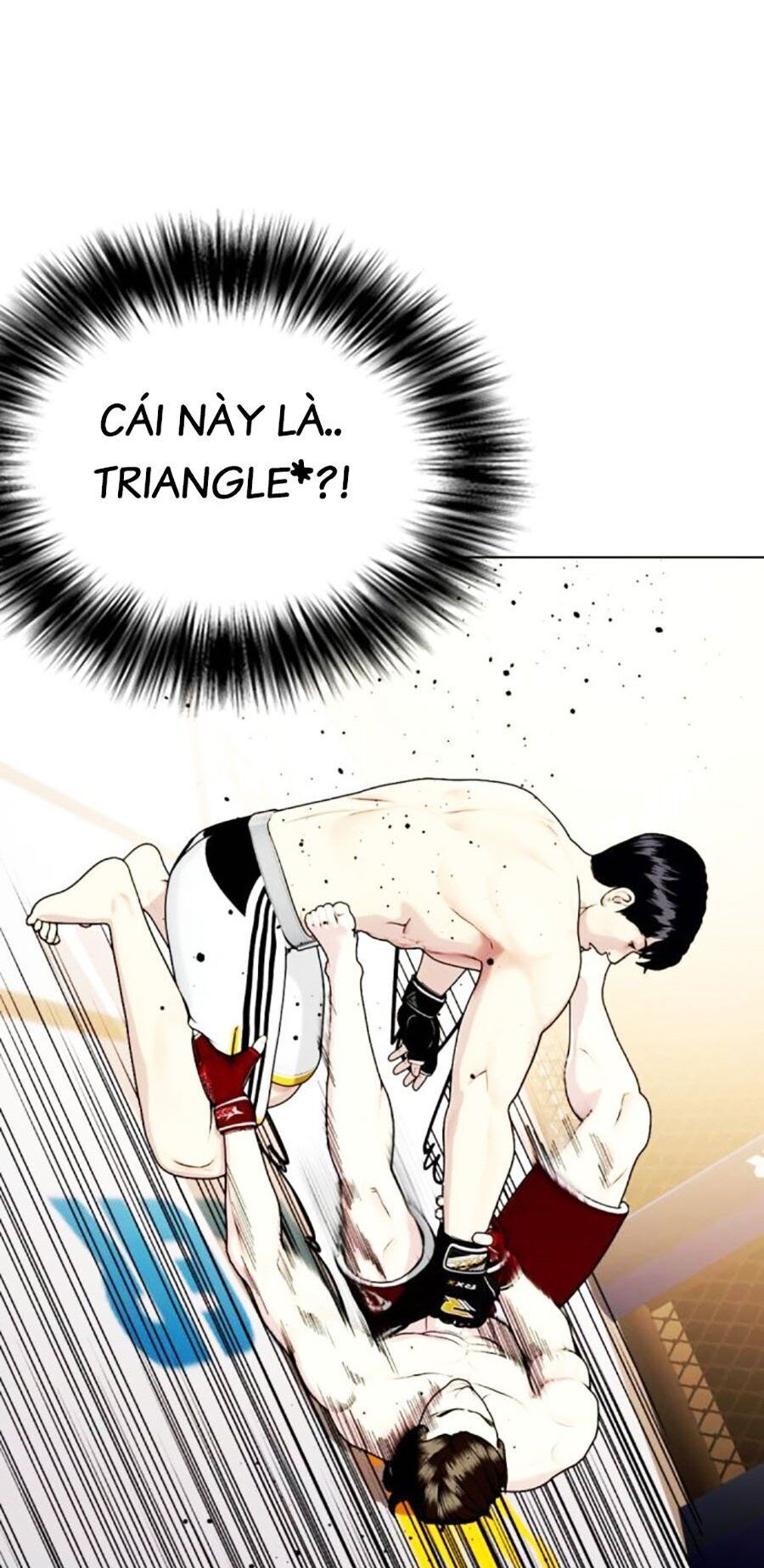 Loser Giỏi Võ Chapter 67 - 81