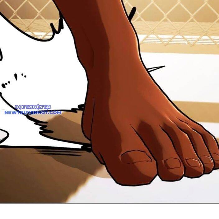 Loser Giỏi Võ Chapter 93 - 224