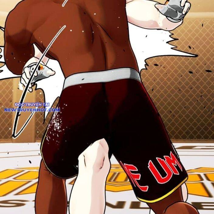 Loser Giỏi Võ Chapter 93 - 253