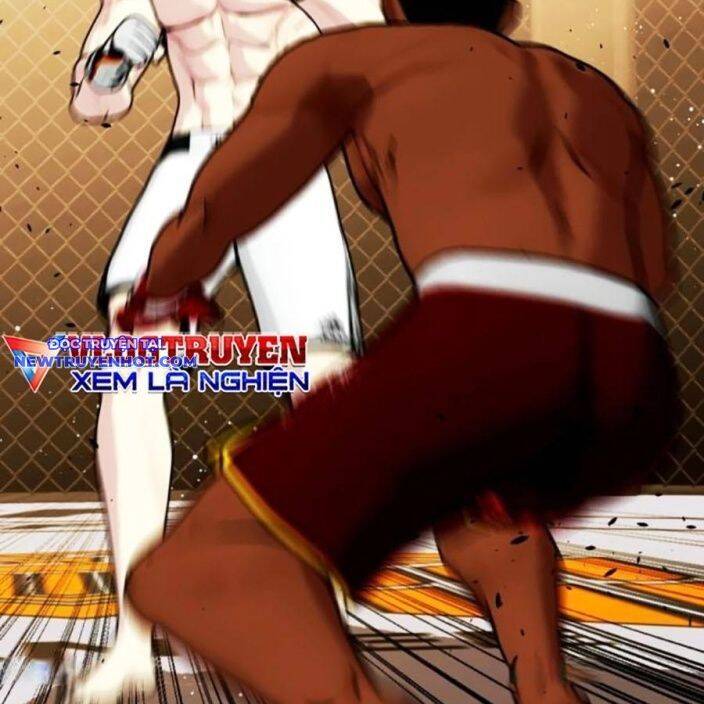 Loser Giỏi Võ Chapter 93 - 292