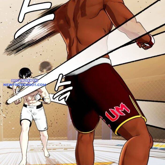 Loser Giỏi Võ Chapter 94 - 228