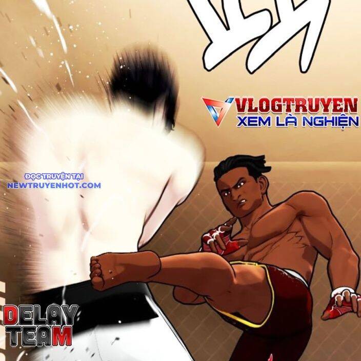 Loser Giỏi Võ Chapter 94 - 258