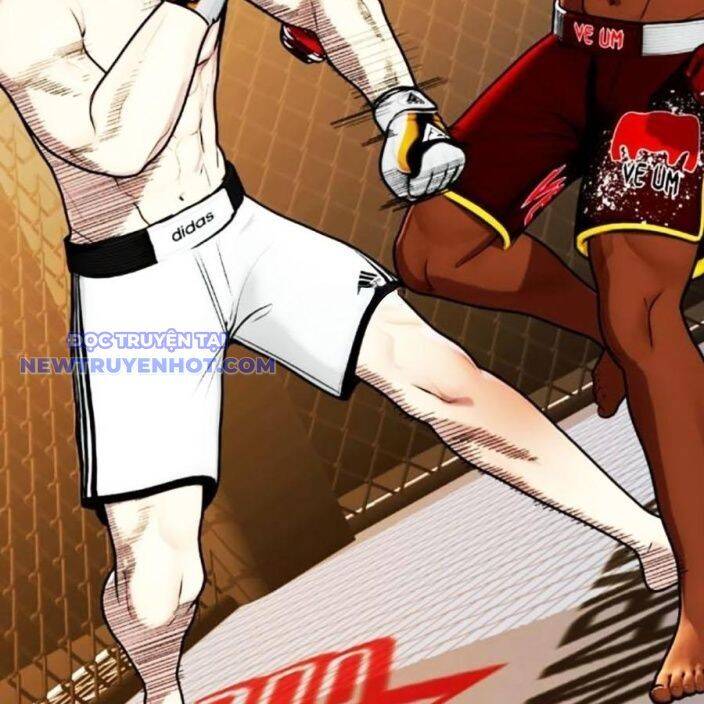 Loser Giỏi Võ Chapter 95 - 117