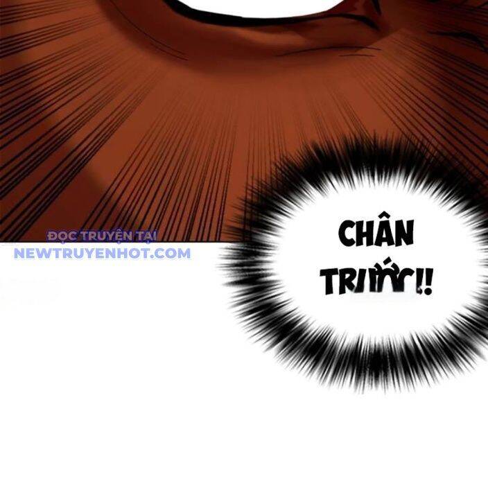 Loser Giỏi Võ Chapter 95 - 5