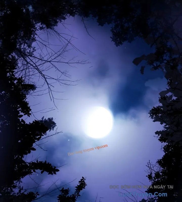 Ma Pháp Sư Hắc Ám Trở Về Để Nhập Ngũ Chapter 52 - 220