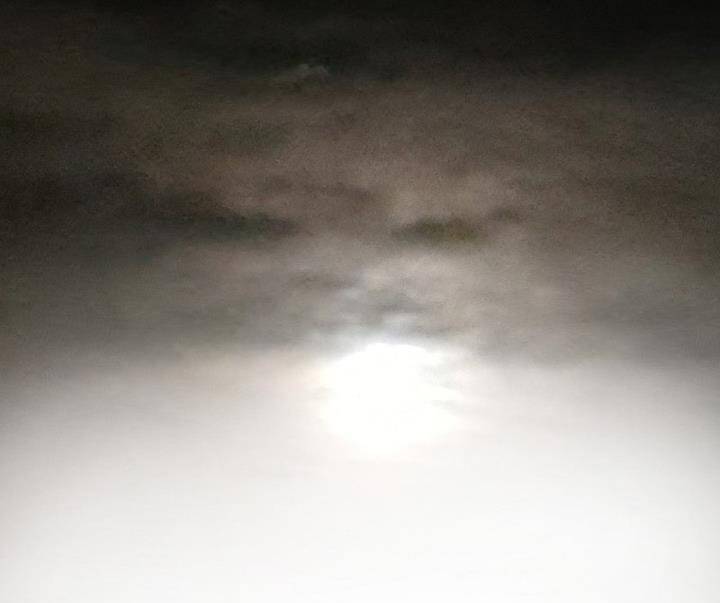 Mạt Thế Giang Hồ Hành Chapter 34 - 13