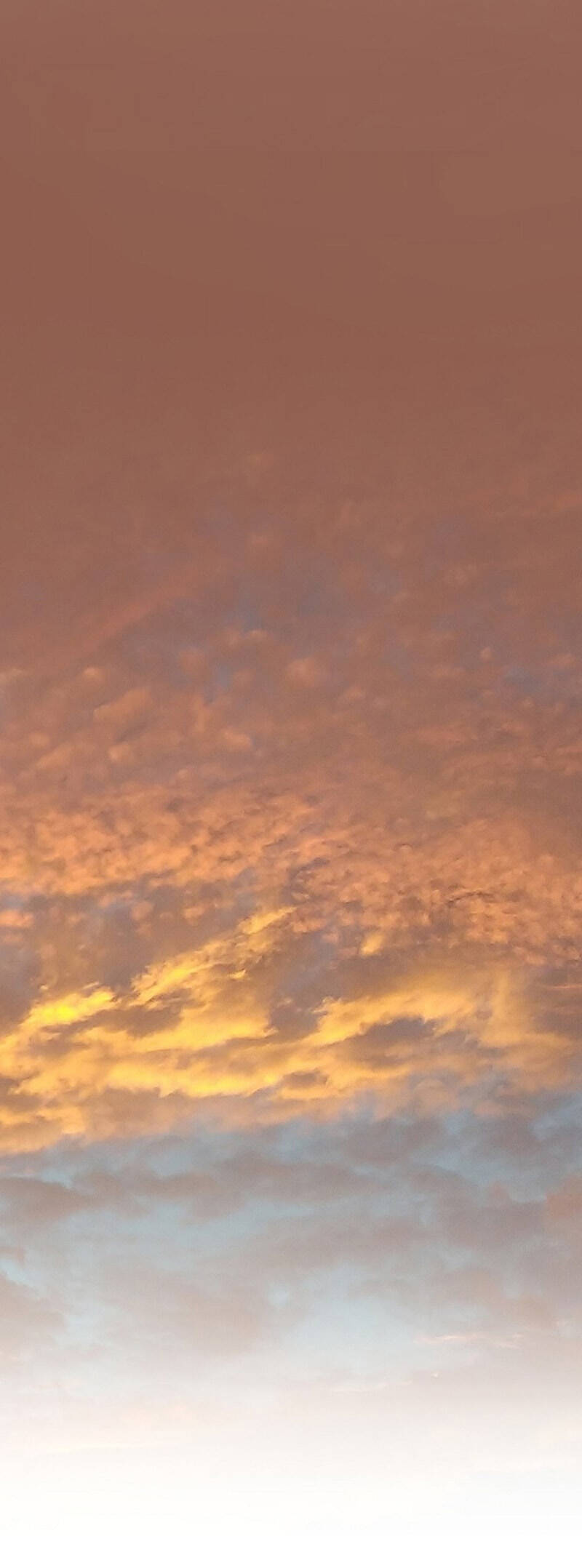 Mạt Thế Giang Hồ Hành Chapter 36 - 64