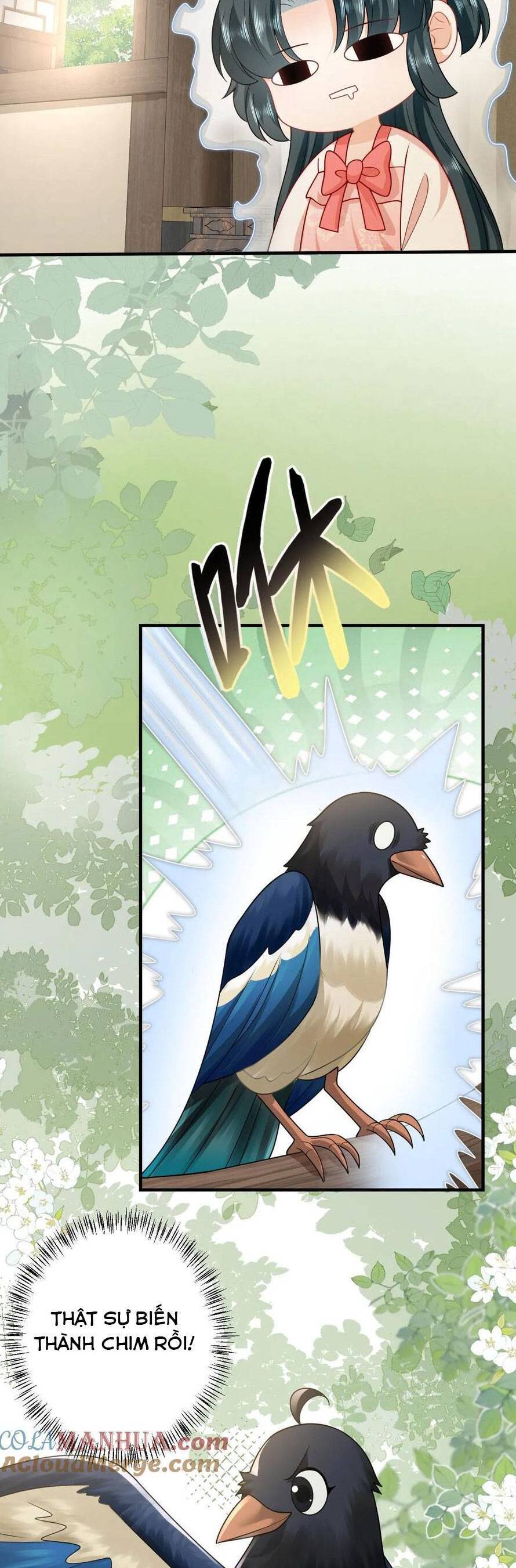 3 Kiếp Xui Xẻo, Kiếp Này Cùng Ta Thần Kinh Chapter 106 - 13