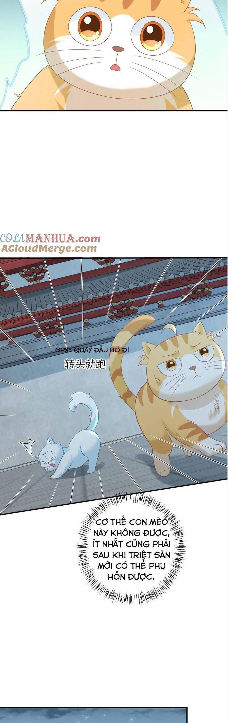 3 Kiếp Xui Xẻo, Kiếp Này Cùng Ta Thần Kinh Chapter 113 - 10