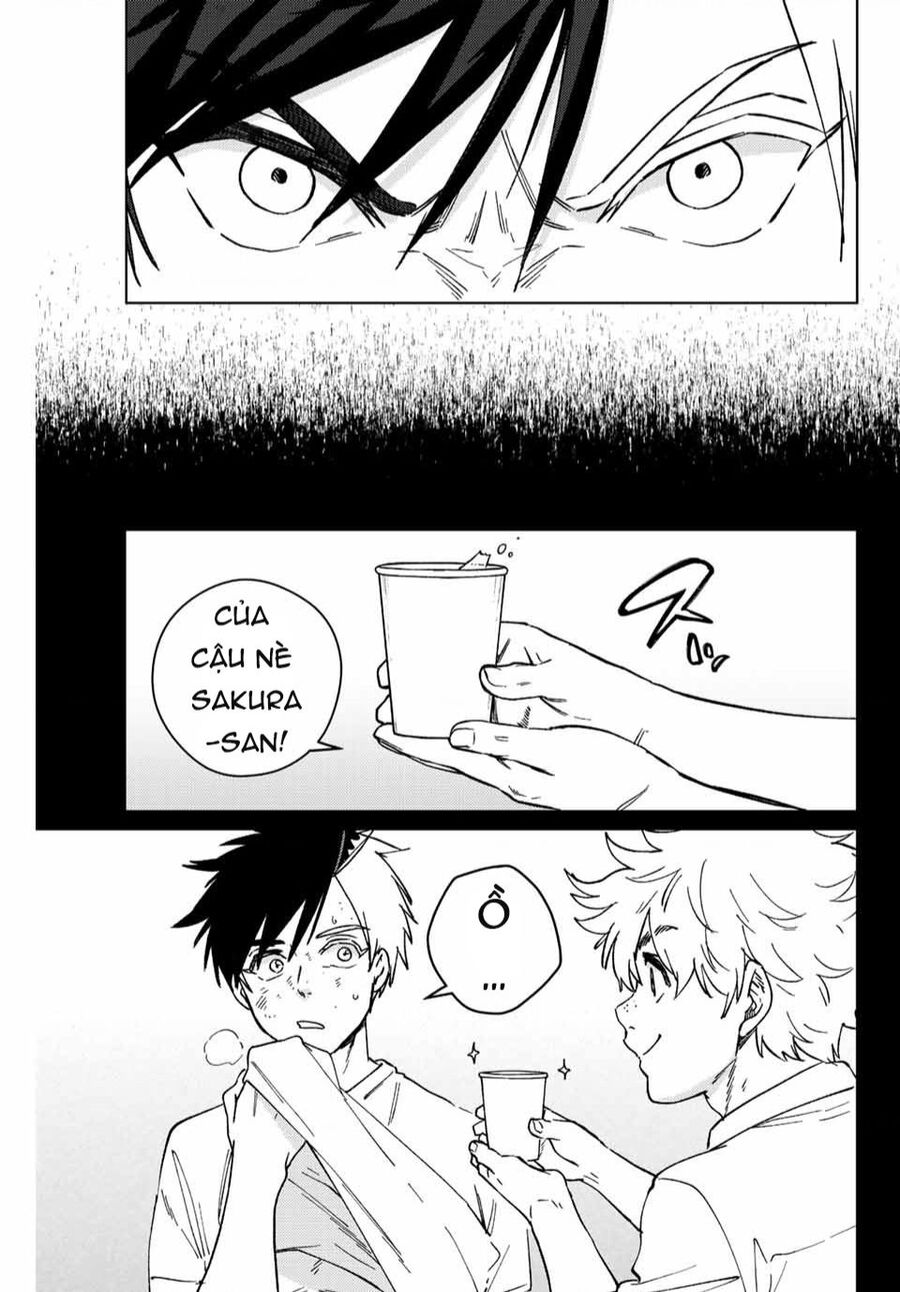 Wind Breaker (Nii Satoru) Chapter 108 - 5