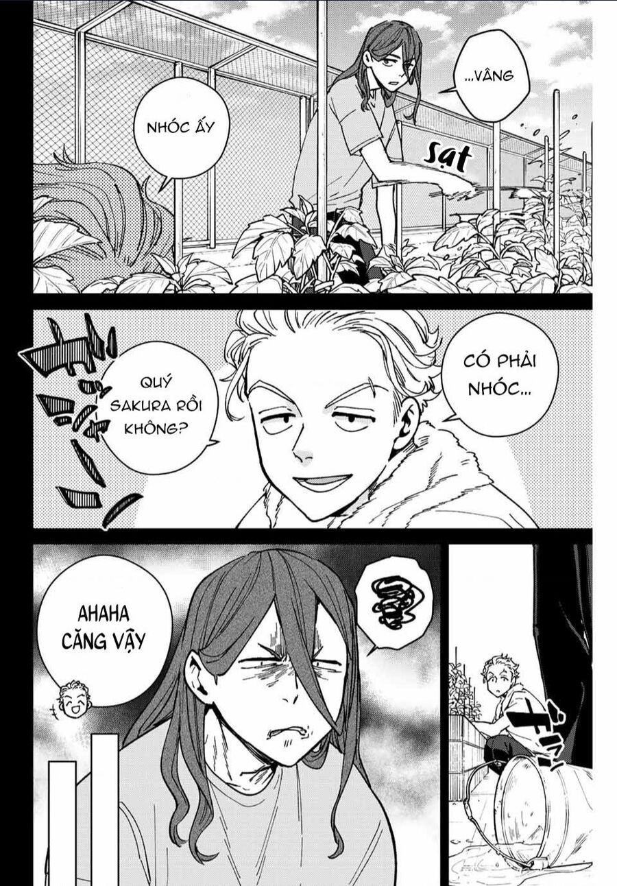 Wind Breaker (Nii Satoru) Chapter 112 - 11