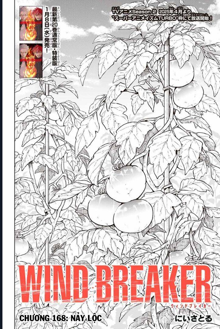 Wind Breaker (Nii Satoru) Chapter 168 - 3