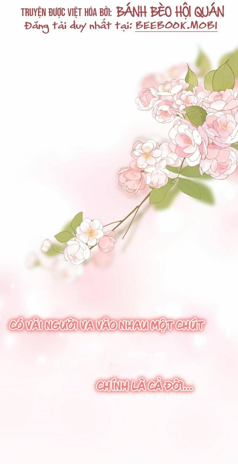 Tổng Tài Đuổi Vợ Lại Khóc Lóc Cầu Xin Vợ Quay Lại Chapter 0 - 2
