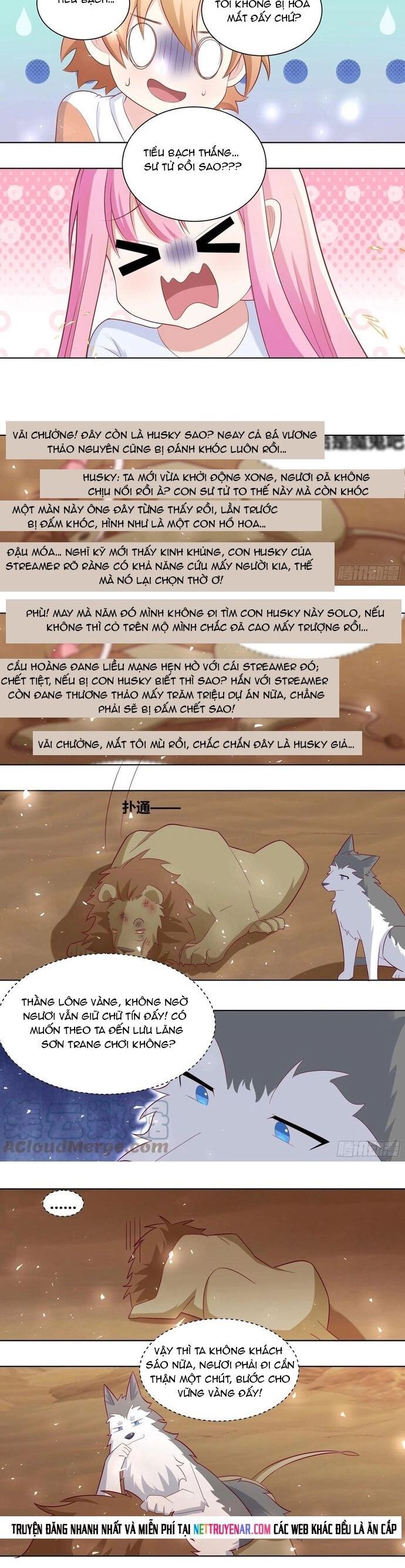 Trọng Sinh Thành Chó Của Nữ Thần Chapter 424 - 3