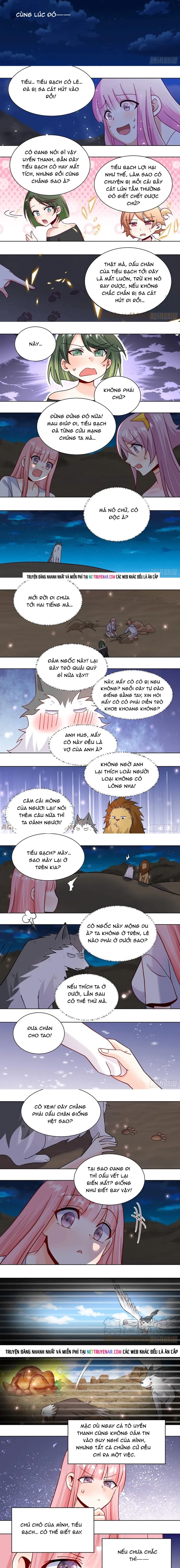 Trọng Sinh Thành Chó Của Nữ Thần Chapter 431 - 2