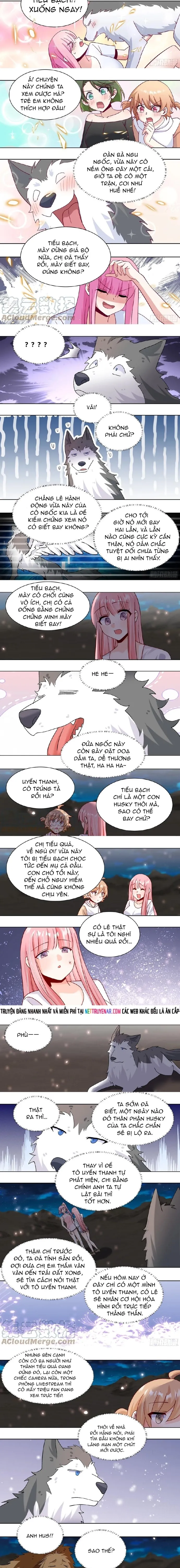 Trọng Sinh Thành Chó Của Nữ Thần Chapter 432 - 2