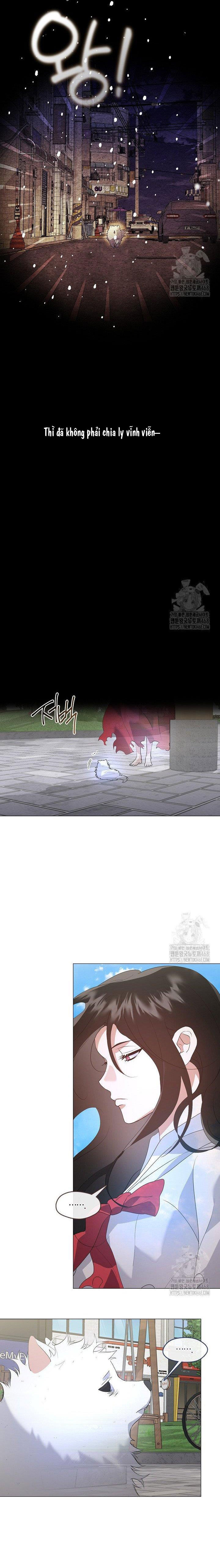 Nhà Hàng Thế Giới Ngầm Chapter 90 - 12