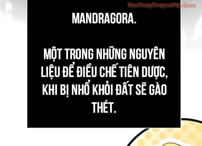 Sống Sót Trong Trò Chơi Với Tư Cách Là Một Cuồng Nhân Chapter 126 - 297