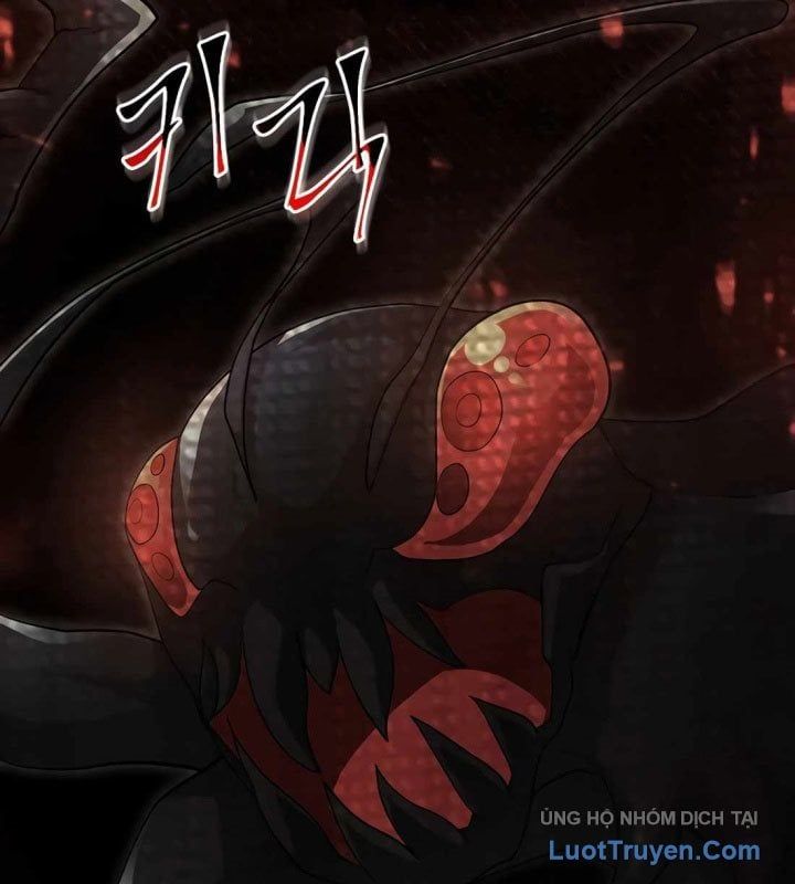 Tôi Thăng Cấp Bằng Kĩ Năng Chapter 115 - 11