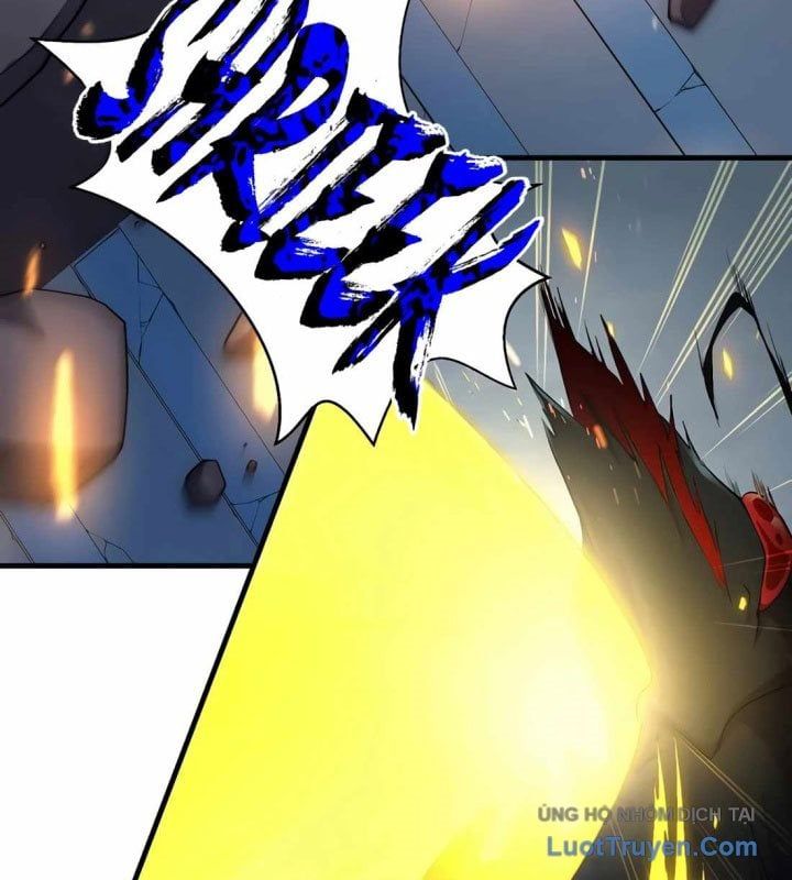 Tôi Thăng Cấp Bằng Kĩ Năng Chapter 115 - 25