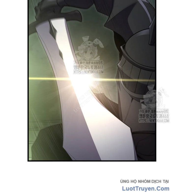Tôi Thăng Cấp Bằng Kĩ Năng Chapter 117 - 11