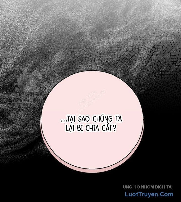 Tôi Thăng Cấp Bằng Kĩ Năng Chapter 117 - 126