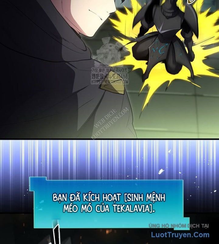 Tôi Thăng Cấp Bằng Kĩ Năng Chapter 117 - 17