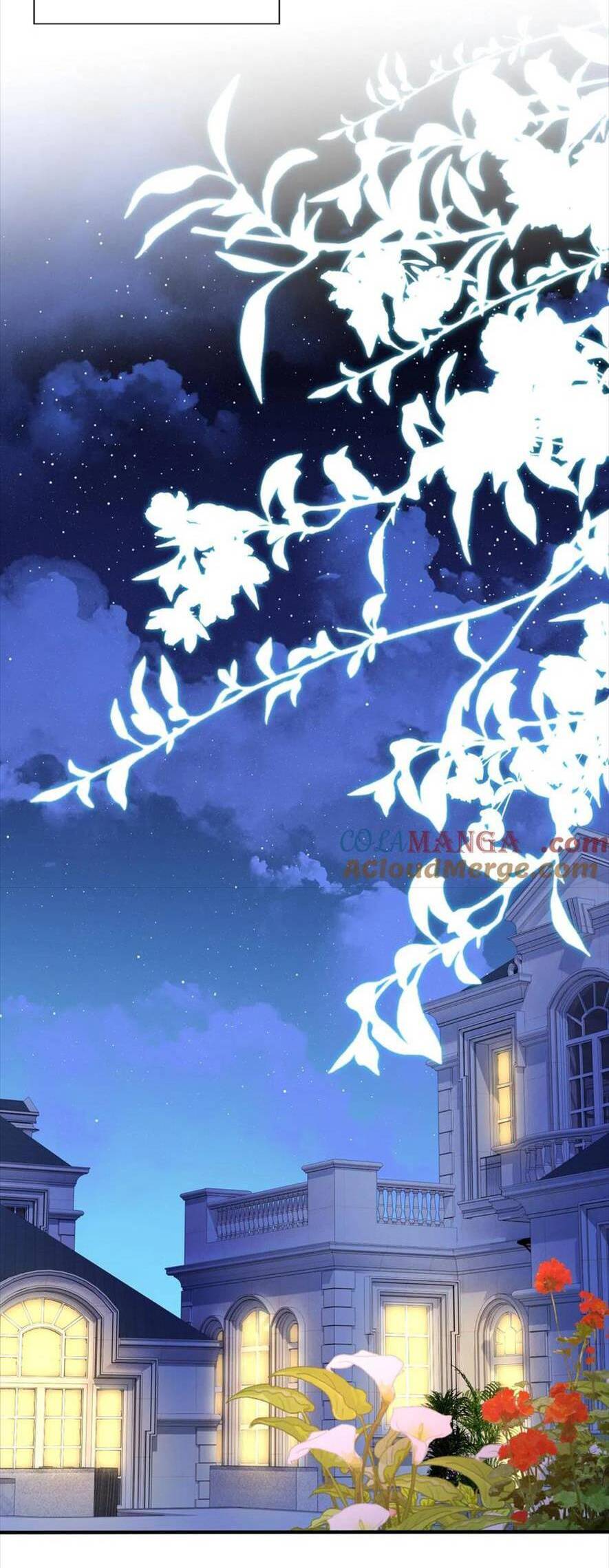 Tái Sinh Trở Lại : Chồng Cũ Khóc Lóc Cầu Xin Tái Hôn Chapter 182 - 8