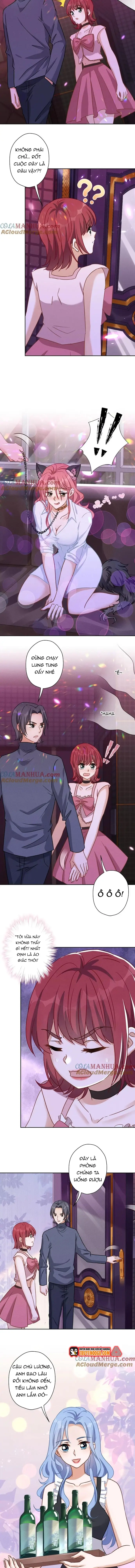 Long Vương Điện: Người Ở Rể Giàu Nhất Chapter 137 - 5