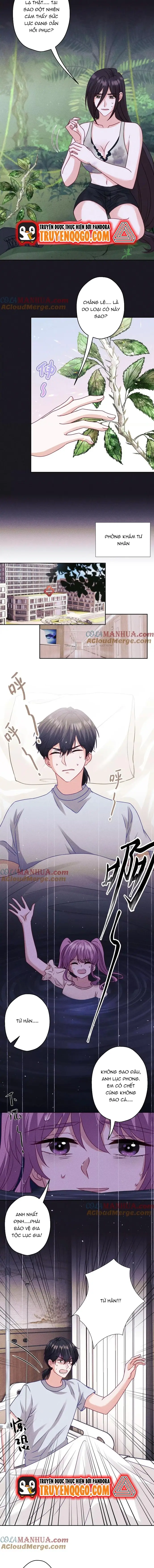 Long Vương Điện: Người Ở Rể Giàu Nhất Chapter 231 - 2