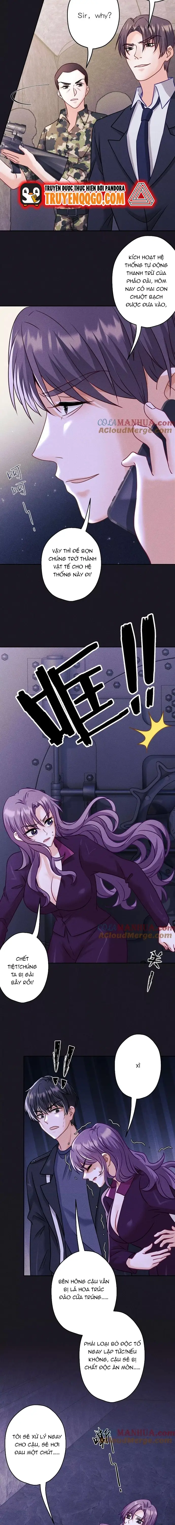 Long Vương Điện: Người Ở Rể Giàu Nhất Chapter 250 - 7