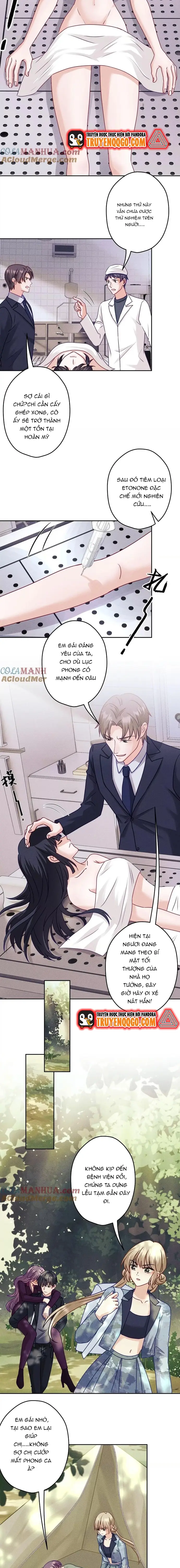 Long Vương Điện: Người Ở Rể Giàu Nhất Chapter 253 - 3