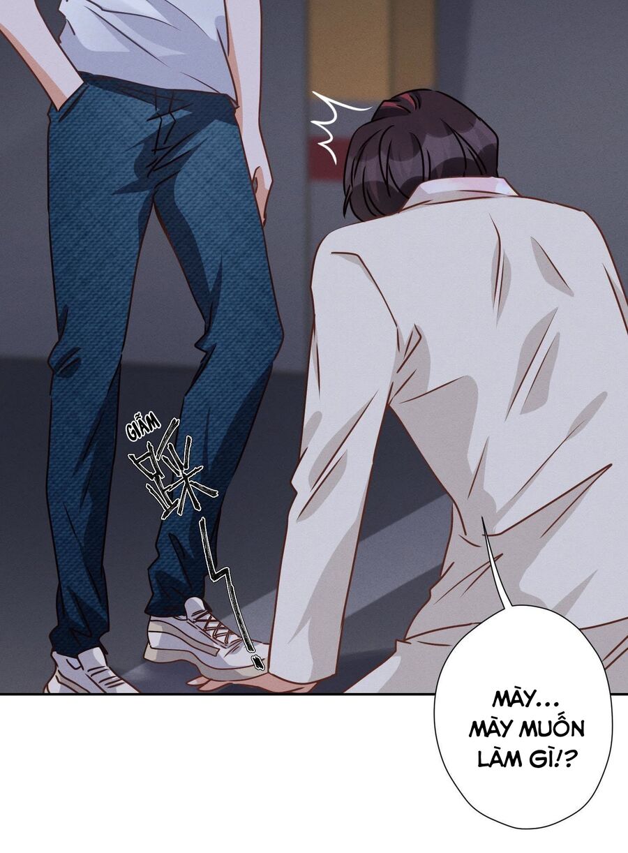 Long Vương Điện: Người Ở Rể Giàu Nhất Chapter 29 - 42