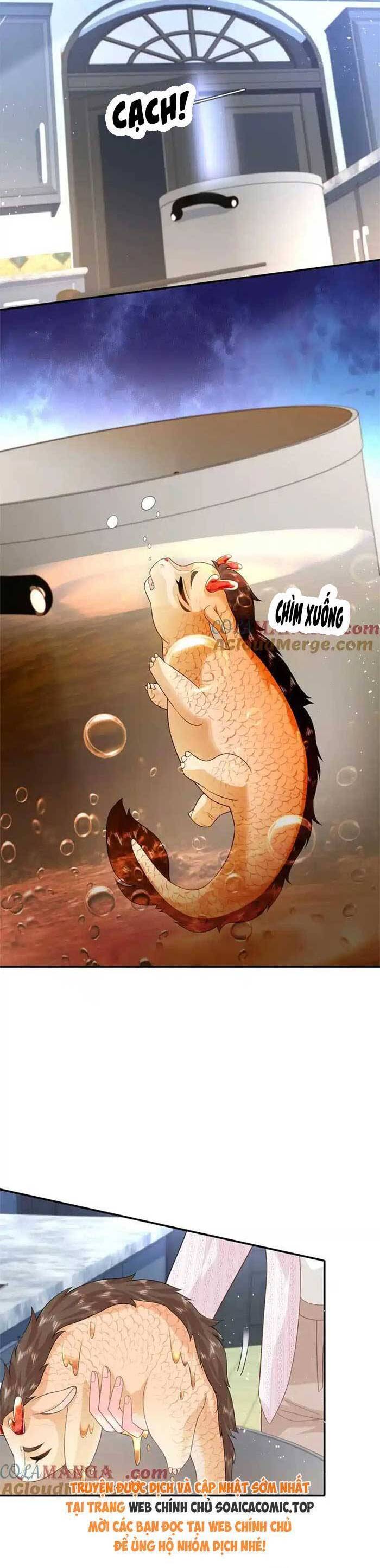 Bé Rồng Đột Kích! Mami Vừa Cay Vừa Độc Chapter 113 - 2