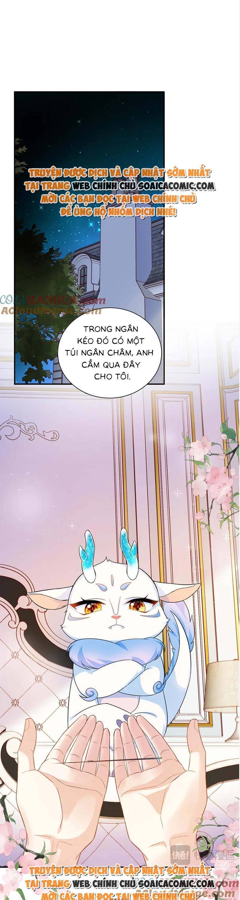 Bé Rồng Đột Kích! Mami Vừa Cay Vừa Độc Chapter 47 - 18