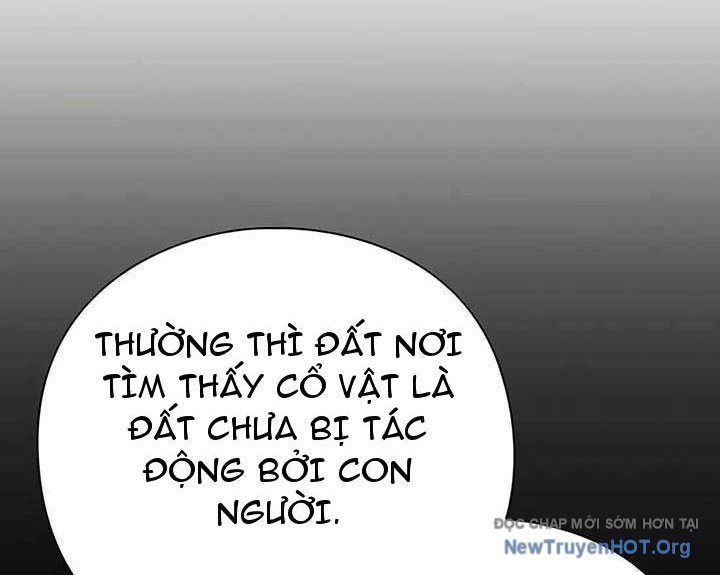 Người Giám Định Cổ Vật Chapter 45 - 84