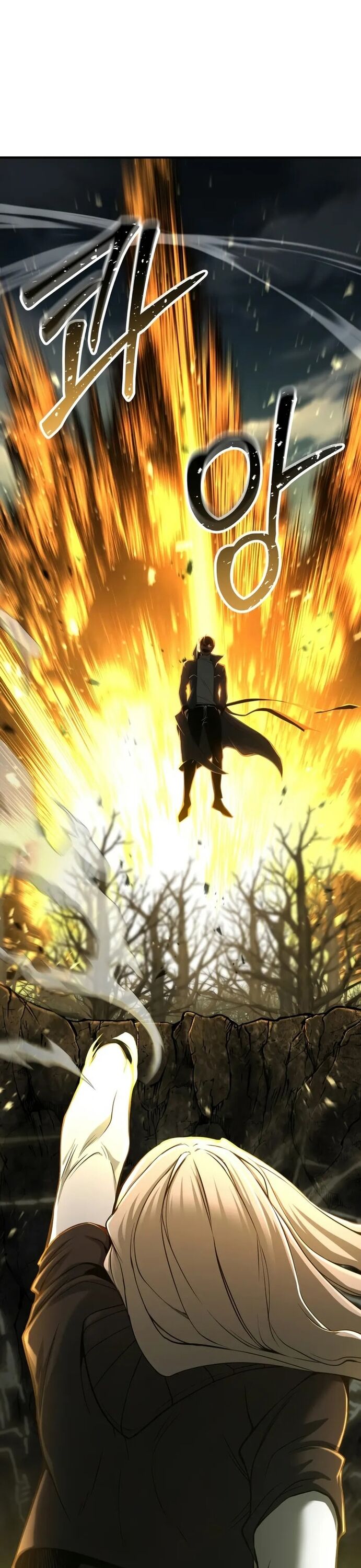 Tử Linh Sư Mạnh Nhất Chapter 70 - 11