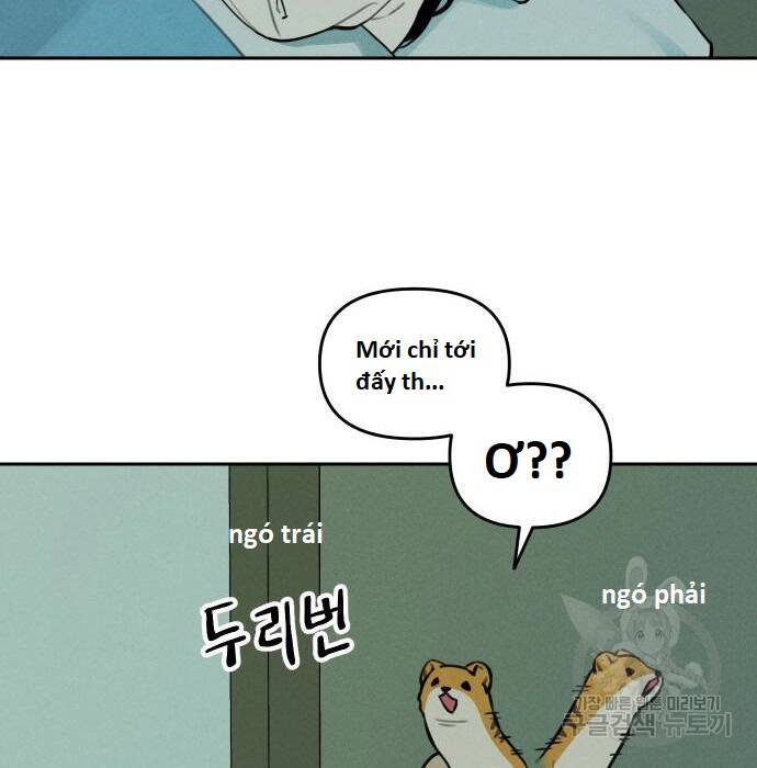 Hổ Đến Chơi Nhà Chapter  105 - 29