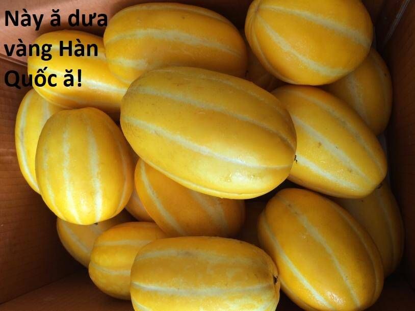 Hổ Đến Chơi Nhà Chapter  108 - 88