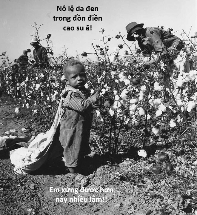 Hổ Đến Chơi Nhà Chapter 127 - 136