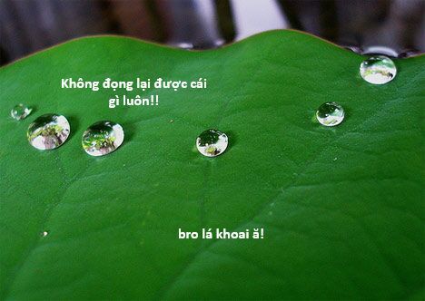 Hổ Đến Chơi Nhà Chapter 131 - 124