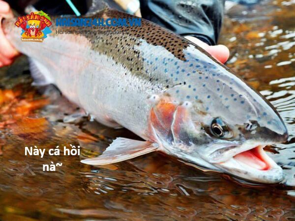 Hổ Đến Chơi Nhà Chapter 131 - 125