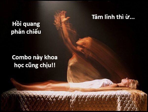 Hổ Đến Chơi Nhà Chapter 132 - 126